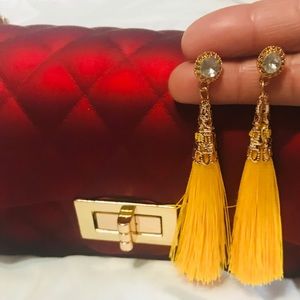 Beautiful Fashion Earrings fringe